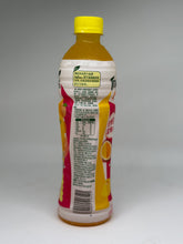 Load image into Gallery viewer, Tropicana Orange &amp; Passion Fruit China 16oz Bottle
